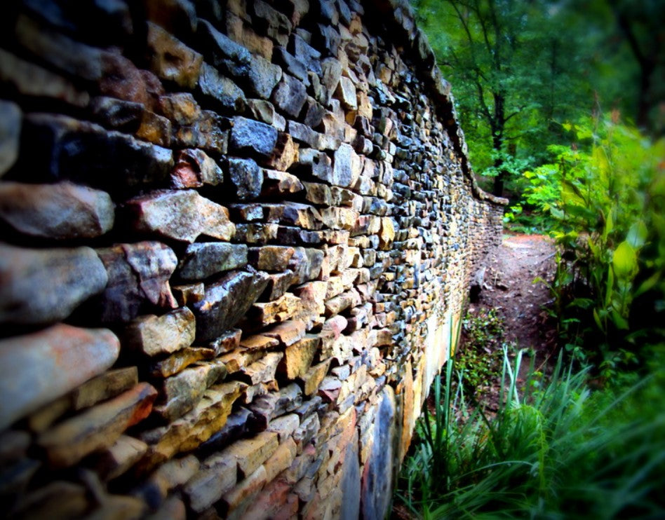 Original Photography- Outdoors