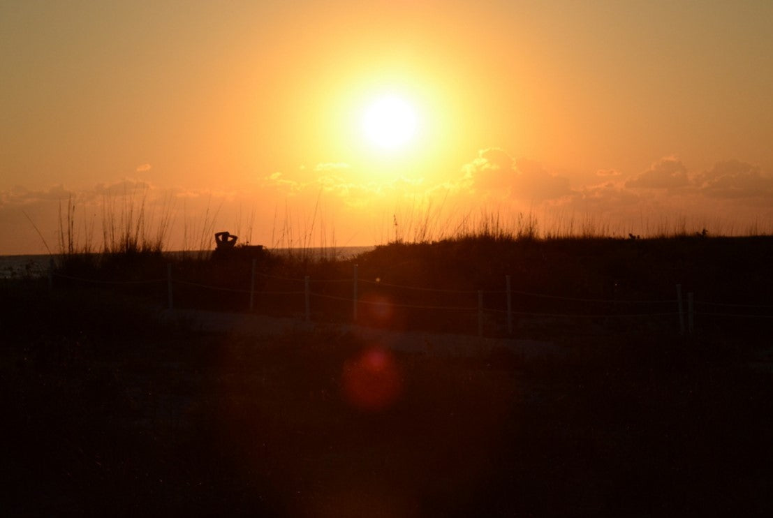 Original Photography- Outdoors